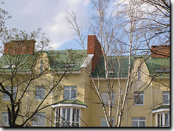 Скролл 8